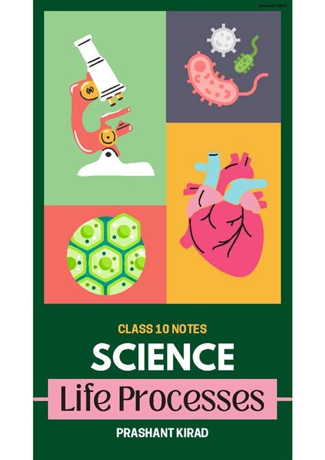 Classification (Life Processes)