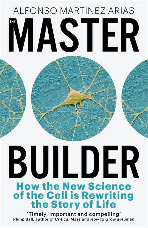 Coasters: A Master Builder Unit