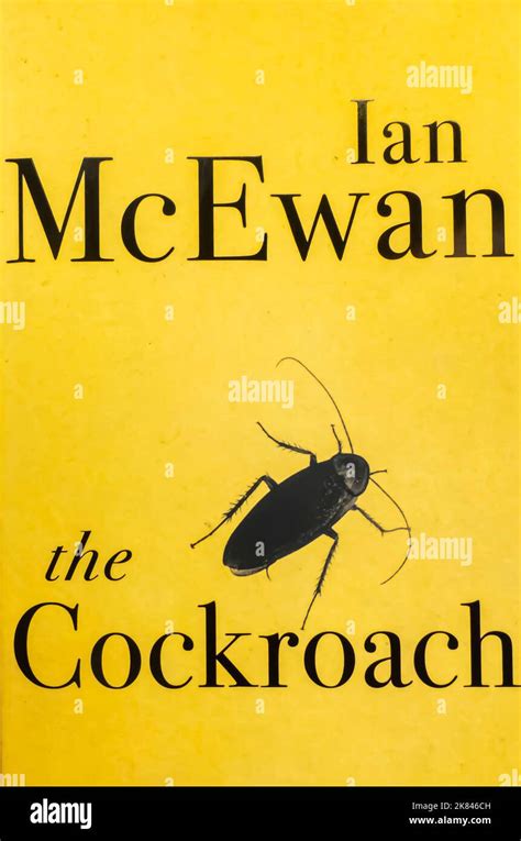 Cockroach