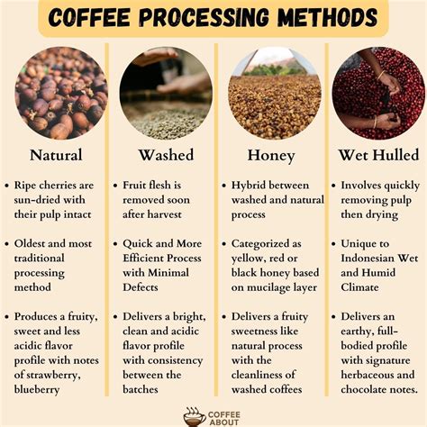 Coffee Processing Technology Two Volumes