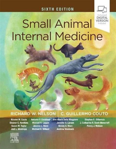 Collaborative Approach to Small Animal Internal Medicine