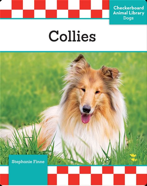 Collies
