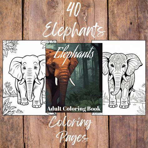 Coloring Book: Elephant Extravaganza