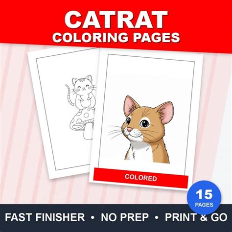 Coloring With CatRat