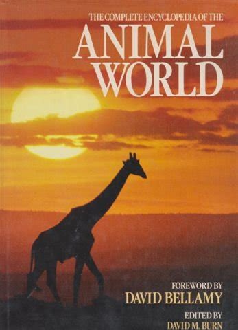Coloring the Animal World