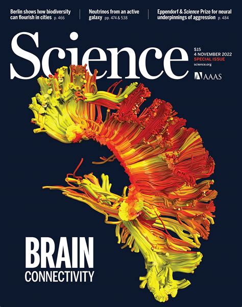 Computer Simulation in Brain Science