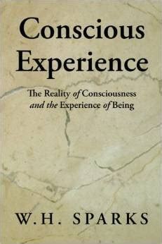 Conscious Experience