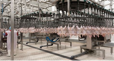 Costs and Efficiency in Turkey Processing Plants
