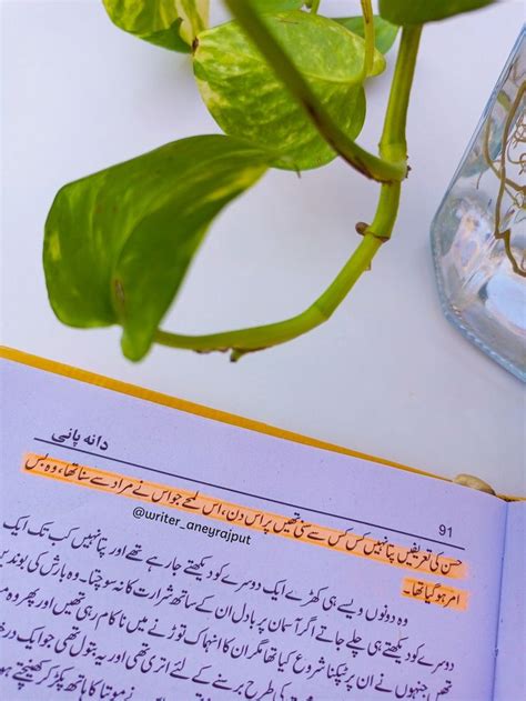 DANA PANI