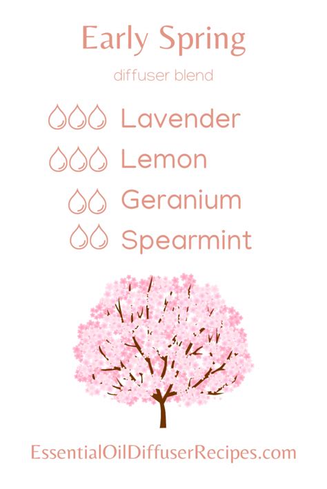 DIY 30 SPRING Essential Oil Diffuser Recipes
