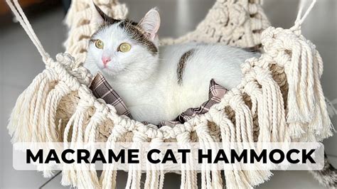 DIY Cat Hammock Tutorial: DIY Macrame Hammock Patterns