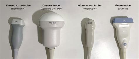 DNA Probes