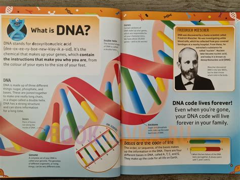 DNA