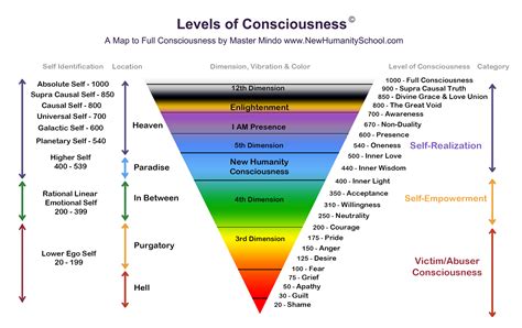 DOG LEVEL CONSCIOUSNESS: In Color