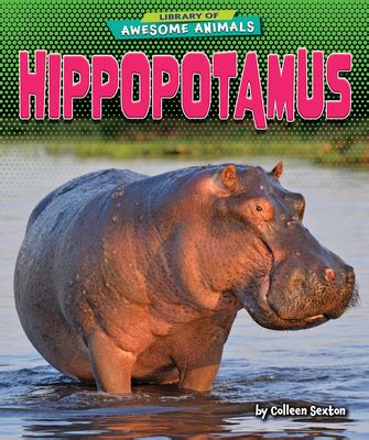 DRAWING BOOK HIPPOPOTAMUS