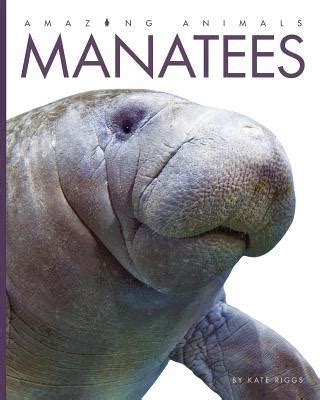 Dancing with Manatees
