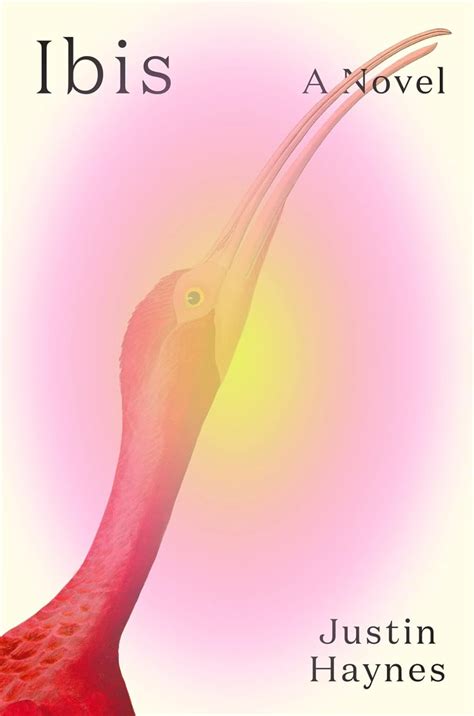 Dear Ibis