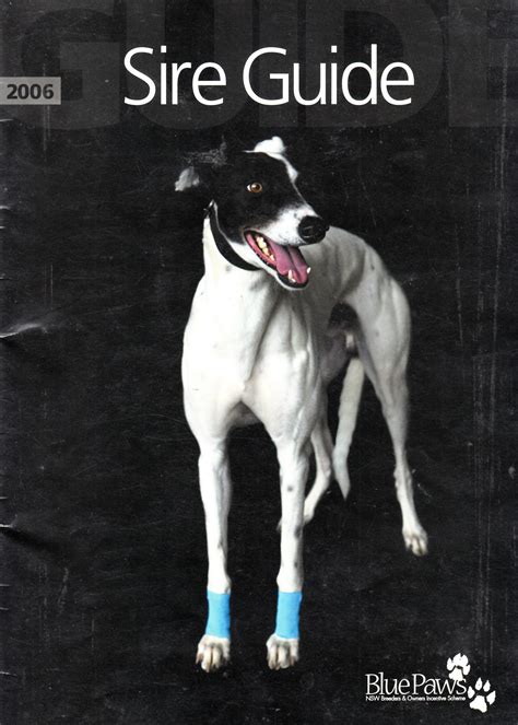 Debut Sire Guide 2008