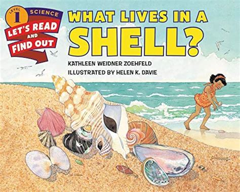 Deep Shell