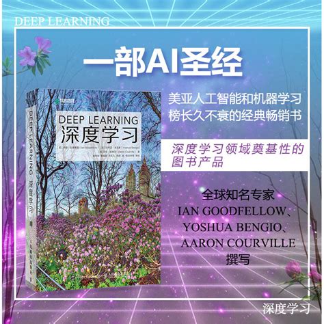 Deep learning(Chinese Edition)