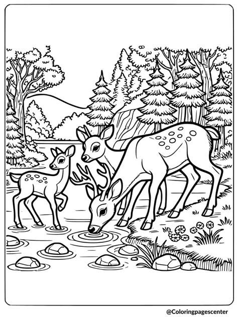 Deer - Coloring Book