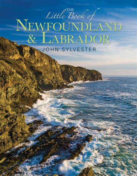 Dictionary Of Newfoundland and Labrador