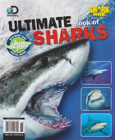 Discover Sharks