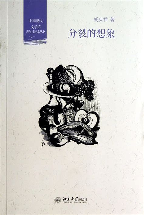 Divisive Imagination (Chinese Edition)