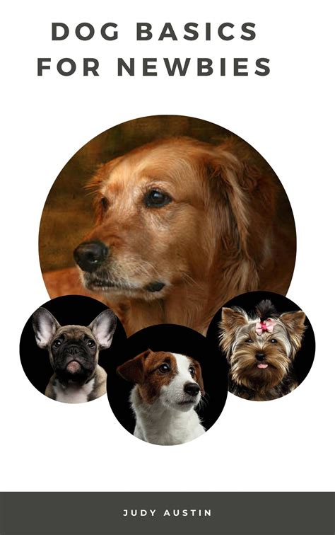 Dog Basics for Beginners