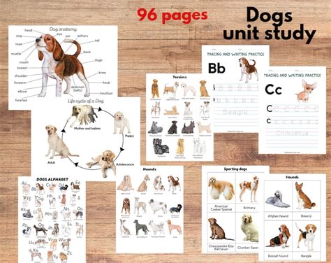 Dog Breeds Study Unit