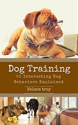 Dog Training: 50 Interesting Dog Behaviours Explained