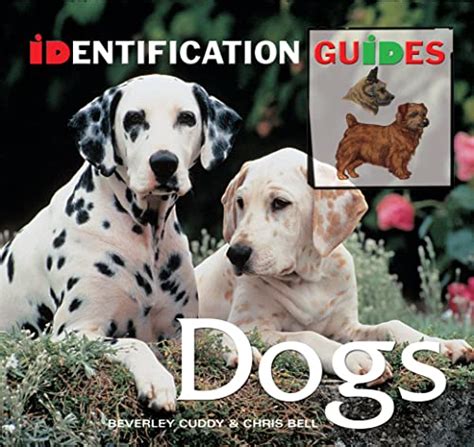 Dogs (Identification Guide)