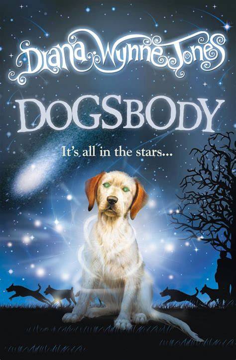 Dogsbody for a Scottish Vet