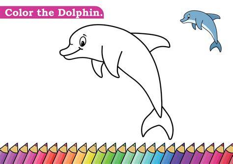 Dolphin Color Drawing Book