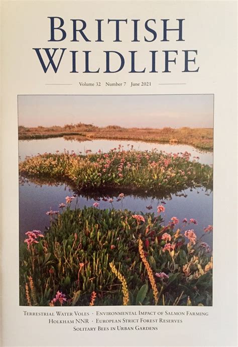 Dr. Wildlife