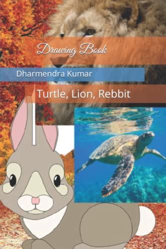 Drawing Book: Rebbit