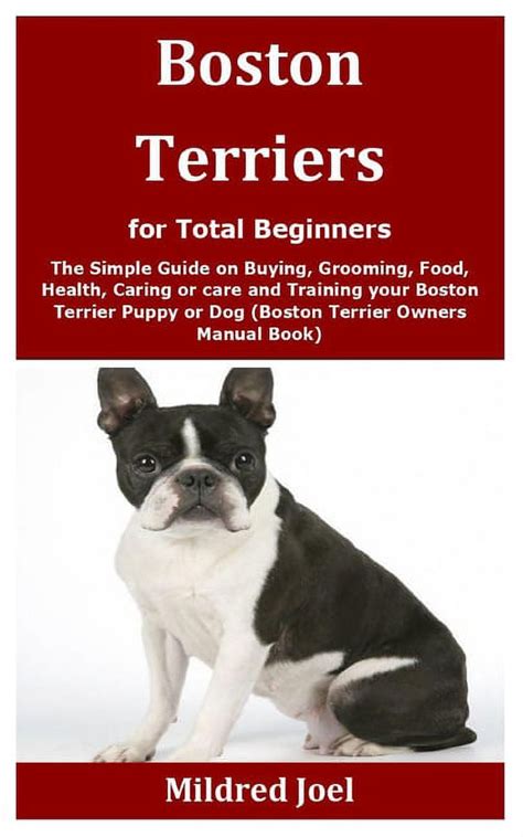Drive (Boston Terriers #2)
