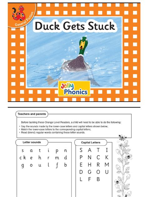 Duck Gets Stuck