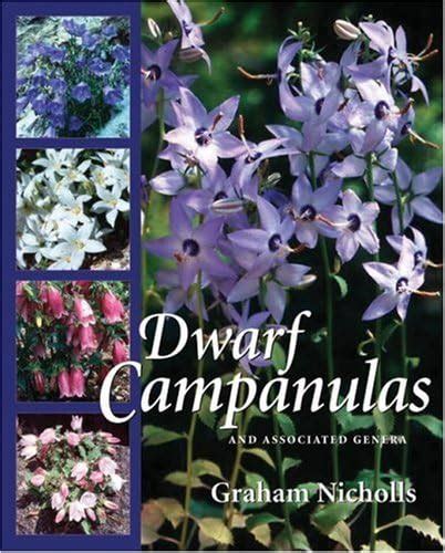 Dwarf Campanulas