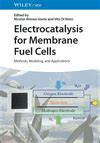 Electrocatalysis
