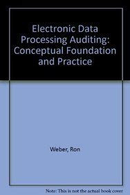 Electronic data processing and auditing