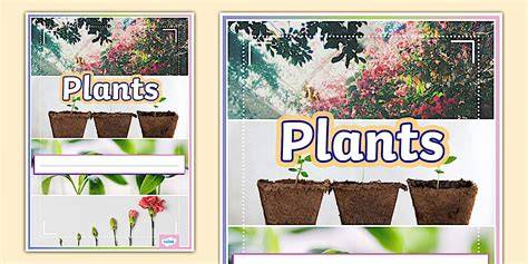Exotic plants for the home