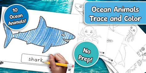 Explore The Ocean Animals: Color & Trace