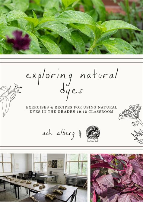 Exploring Natural Dyes