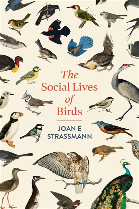 Exploring Social Lives