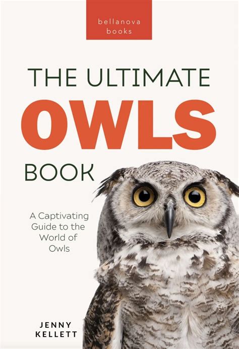 Exploring the World of Owls