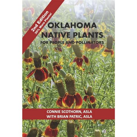 FOSSIL PLANTS FROM THE LATE TERTIARY OF OKLAHOMA