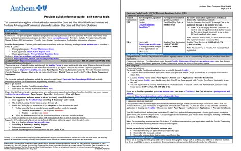 Female reproductive system e-chart: Quick reference guide