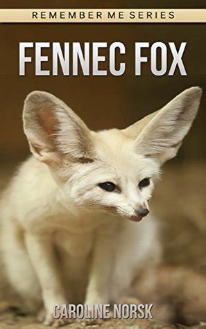Fennec Fox: : Fun Facts & Cool Pictures