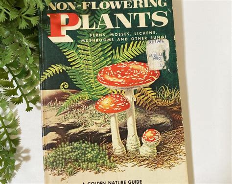 Ferns, Mosses and Fungi